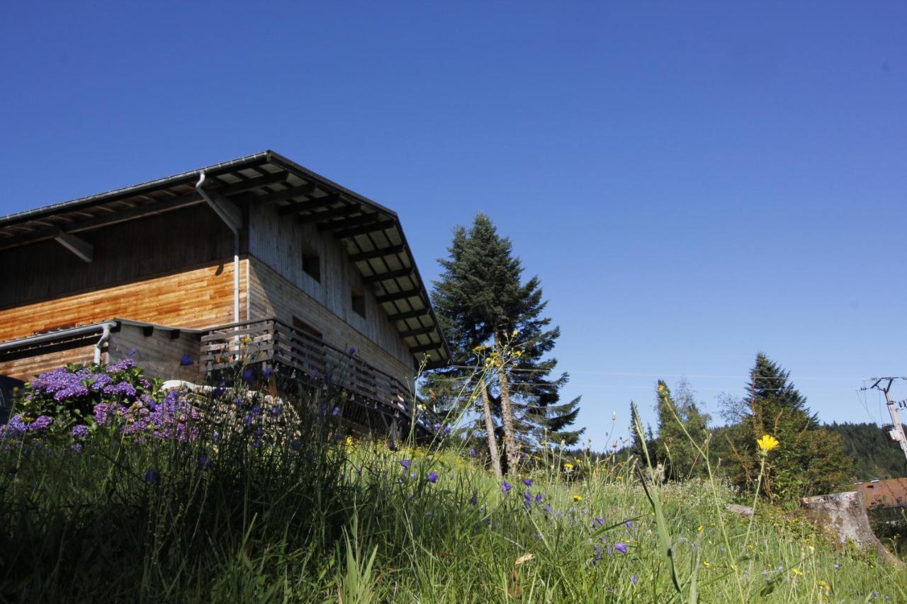Le Chalet De Valentine Bed and Breakfast Ventron Εξωτερικό φωτογραφία